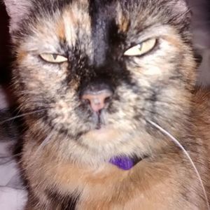 Meet your Posher, Barbara